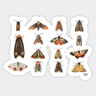 moths Sticker